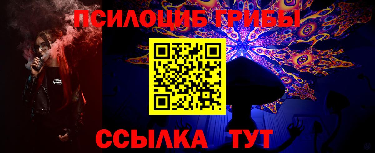 Галлюциногенные грибы GOLDEN TEACHER Кубинка