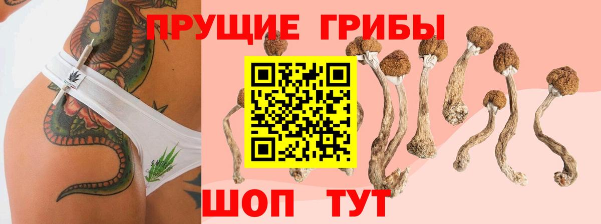 Псилоцибиновые грибы мухоморы  Вход с VPN  даркнет сайт  Кубинка 